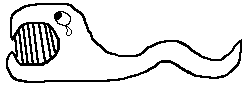Killer Worm